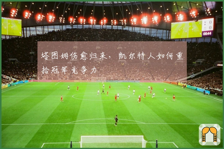 塔图姆伤愈归来，凯尔特人如何重拾冠军竞争力