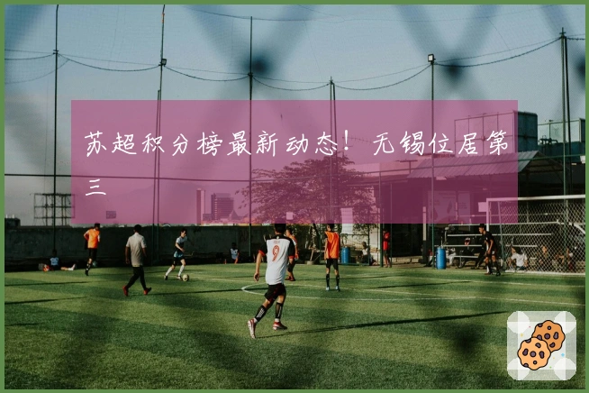 苏超积分榜最新动态！无锡位居第三