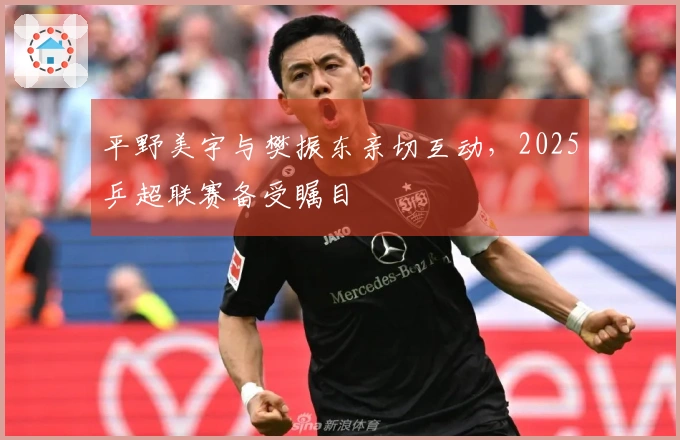平野美宇与樊振东亲切互动，2025乒超联赛备受瞩目